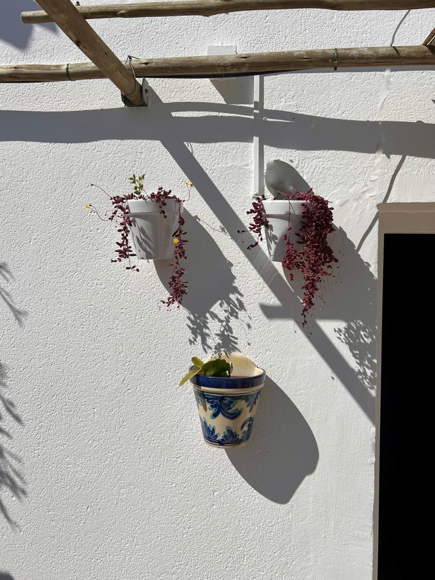 Gmhouse Minorca Gmh Villa Cala 'n Bosch Buitenkant foto